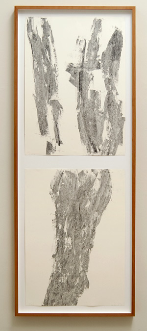 David Rabinowitch / David Rabinowitch 2-part vertical drawing  1995 103 x 74 cm Kohle und Bienenwax auf Papier