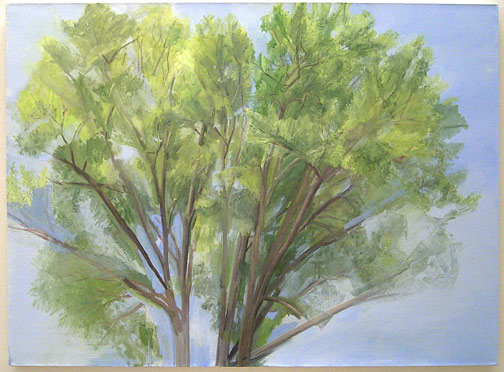 Sylvia Plimack-Mangold / The Pin Oak (Summer) 2004  2004 114 x 155 cm / 45 x 61 " oil on linen