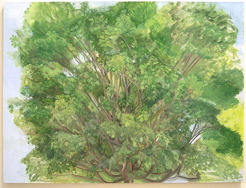 Sylvia Plimack-Mangold / The Maple Tree, Summer 2007  2007 114.3 x 152.4 cm / 45 x 60 " oil on linen