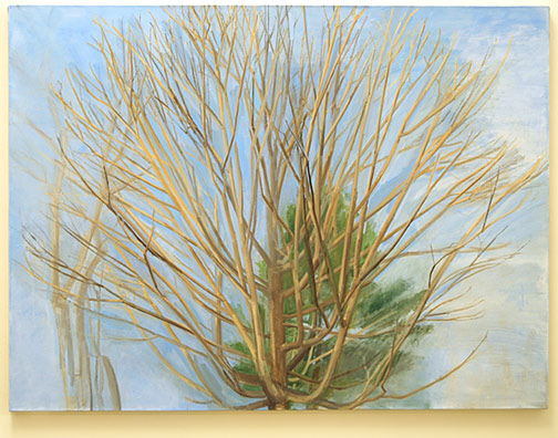Sylvia Plimack-Mangold / Winter Maple and Pine  2007 114.3 x 152.4 cm / 45 x 60 " oil on linen